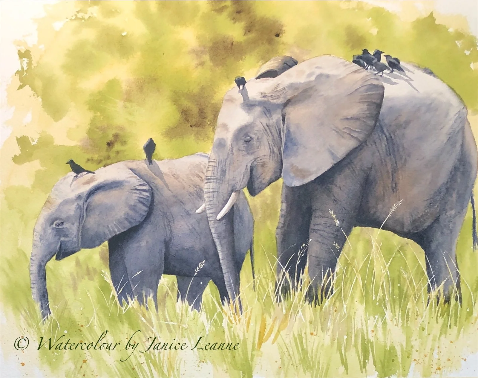 Watercolour by Janice Leanne — Red River North Tourism